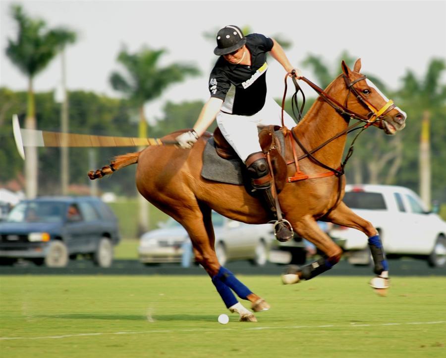metaltek-vs-heathcote-Joe barry cup